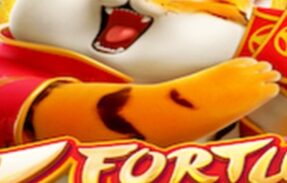 Imagem do grupo de WhatsApp ‼️PLTFRMA CH1N3SA ‼️