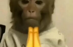 Imagem do grupo de WhatsApp Resenha