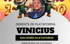 Imagem do grupo de WhatsApp Cooperação Vini