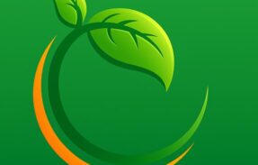 Imagem do grupo de WhatsApp Recomendação: Adubação, calagem e Gessagem