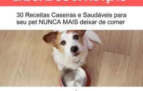 Receitas para alimentação saudável dos seus Pets