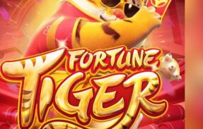 Imagem do grupo de WhatsApp *Slot pagando muito*