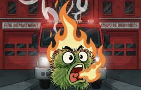 Imagem do grupo de WhatsApp MAMONAS EM CHAMA FC