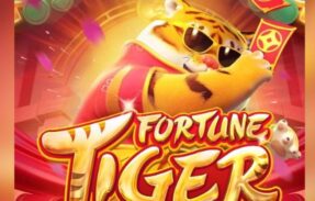 Imagem do grupo de WhatsApp Plataforma pagante 