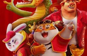 Imagem do grupo de WhatsApp Plataforma Exclusiva 