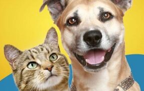 Imagem do grupo de WhatsApp Tutores de pets