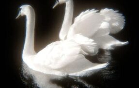 Imagem do grupo de WhatsApp -𝑅𝑃𝐺 𝑂𝐹𝐹 ︎