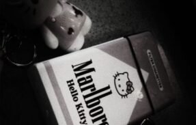 Imagem do grupo de WhatsApp *Hello Kitty*