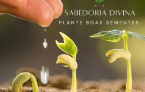 Imagem do grupo de WhatsApp Sabedoria Divina