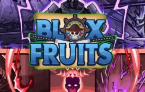 Imagem do grupo de WhatsApp  Blox Fruits Community 