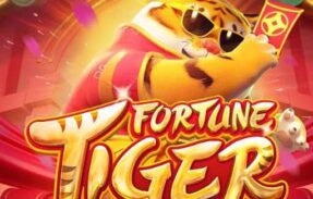 Imagem do grupo de WhatsApp Plataformas e horários de pagamentos