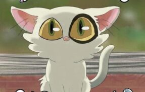 Imagem do grupo de WhatsApp •⊹𝘍á𝘣𝘳𝘪𝘤𝘢 𝘋𝘦 𝘚𝘵𝘪𝘤𝘬𝘦𝘳𝘴⊹•