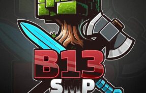 Imagem do grupo de WhatsApp Chat Geral – B13 SMP