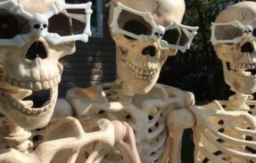 Imagem do grupo de WhatsApp Maluquinhos‍