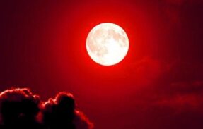 Imagem do grupo de WhatsApp Hot night 