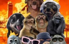 Imagem do grupo de WhatsApp FAMÍLIA PESO T.R 