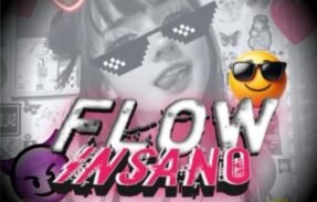 Imagem do grupo de WhatsApp 𝐹𝐿𝑂𝑊乡𝐼𝑁𝑆𝐴𝑁𝑂