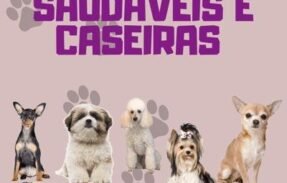 Receita saudáveis para pets 