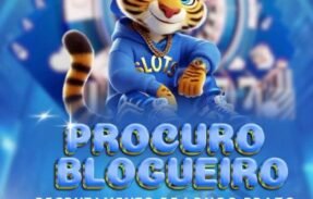 Imagem do grupo de WhatsApp PLATAFORMAS LINCECIADAS   CONFIÁVEIS