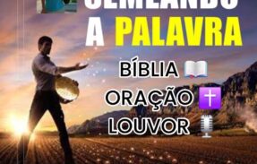 Imagem do grupo de WhatsApp Semeando a palavra