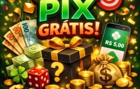 Imagem do grupo de WhatsApp  Brincadeiras Premiada 