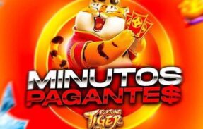 Imagem do grupo de WhatsApp MINUTOS PAGANTES – TIGER 2.0
