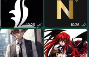 🇧🇷 OTAKU ALLIANCE ️🇧🇷 1.0 Grupo Anime