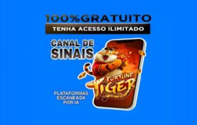 Imagem do grupo de WhatsApp SINAIS VIP 100% GRATIS 