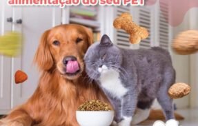 Imagem do grupo de WhatsApp Marmitas para pet