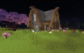 Imagem do grupo de WhatsApp *MINECRAFT SÓ OS CRIA*