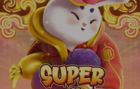 Imagem do grupo de WhatsApp SUPER