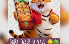 Imagem do grupo de WhatsApp PLATAFORMAS PAGANDO