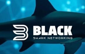 Imagem do grupo de WhatsApp Black Shark Networking