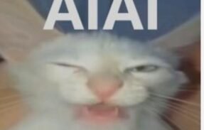 Imagem do grupo de WhatsApp 𝘝𝘪𝘵𝘰𝘳𝘪𝘢𝘯𝘰𝘴 𝘗𝘭𝘦𝘣𝘦𝘶𝘴