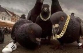 Imagem do grupo de WhatsApp  Crazy Chat 