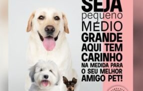 Receitas para pets saudáveis!! 