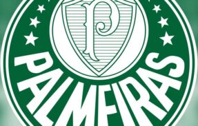 Imagem do grupo de WhatsApp Família Palmeiras 🇳🇬
