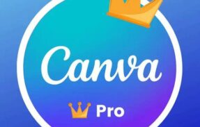 Imagem do grupo de WhatsApp Clube Canva Pro – Lançamento #04