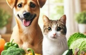 Imagem do grupo de WhatsApp Apaixonado por pets 