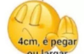 Imagem do grupo de WhatsApp CHAT WEB / ZOEIRA / NAMORO / ETC.