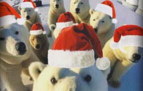 Imagem do grupo de WhatsApp ️Circo dos amigos¹ Imagem do grupo de WhatsApp ️Circo dos amigos¹