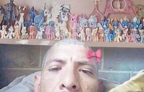Imagem do grupo de WhatsApp Davi Brito Memes