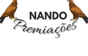 Imagem do grupo de WhatsApp Nando rifa premiações