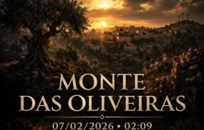 Imagem do grupo de WhatsApp MONTE DAS OLIVEIRAS