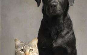 Imagem do grupo de WhatsApp Criadores de pets