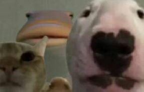 Imagem do grupo de WhatsApp UNIVERSO NÃO PARALELO