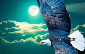 Imagem do grupo de WhatsApp Só amizade