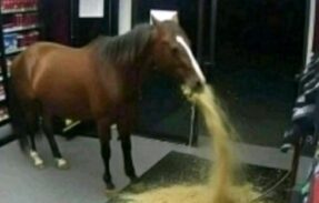 Imagem do grupo de WhatsApp ~{Tropinha da craziness}~