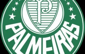 Grupo triagem do Palmeiras