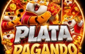 Imagem do grupo de WhatsApp PLATA PAGANDO 